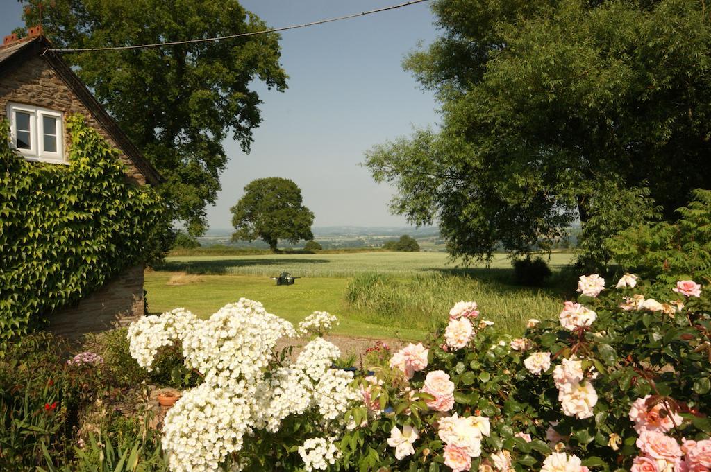 Hills Farm Bed & Breakfast Leominster Room photo